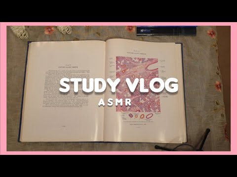 ASMR | STUDY VLOG (inaudible/unintelligible whispering, reading, study with me)