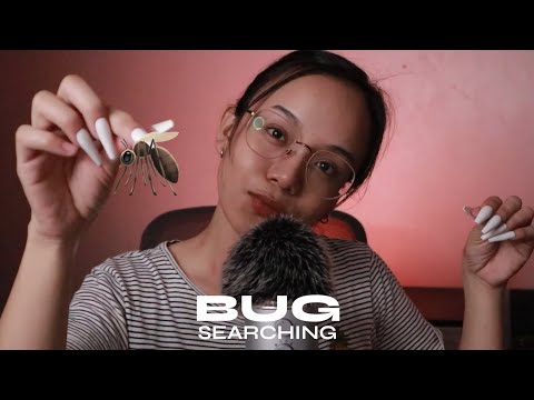 ASMR Fast and Aggressive Bug Searching and Squishing pt 1