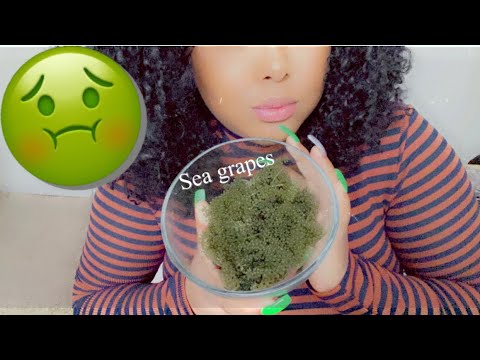 ASMR* 🌊Sea Grapes 🍇 Crunchy Popping Sounds! & Whispering
