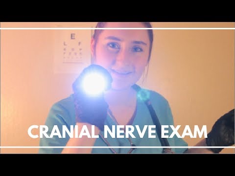 Cranial Nerve Exam ASMR Medical Roleplay
