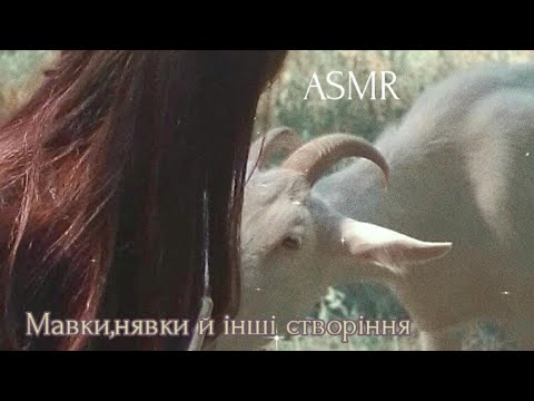 ASMR Міфічні істоти | АСМР українською 🍄
