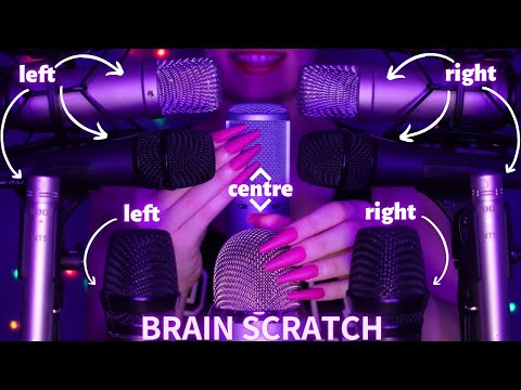 Asmr Mic Scratching - Brain Scratching with 10 Mics | Asmr No Talking for Sleep with Long Nails 1H