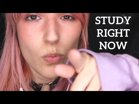 ASMR - Forcing You To Study! ~ Rude Study Buddy Calls You Names Over Cue Cards