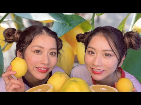 【ASMR】Twin eating lemon Grapefruit tongue tapping /レモンとグレープフルーツ食べる音【咀嚼音】【音フェチ】
