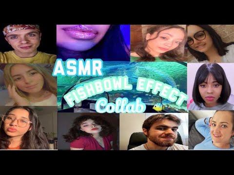 ASMR~ THE BEST Fishbowl Effect COLLAB (9 creators)