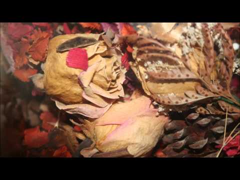 (3D binaural sound) Asmr dried flowers & relaxation time with rustling sounds
