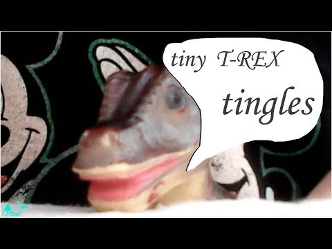 RAW Tiny Tingles ASMR with the micro camera *t-rex- personal attention*