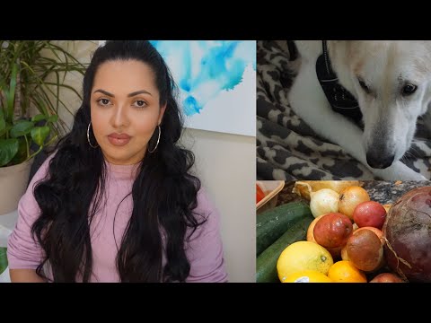 Vlog Relaxante da Semana! TPM, Comida, Cachorros e Pijaminha