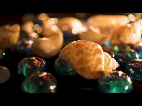 ASMR - Seashells and marbles