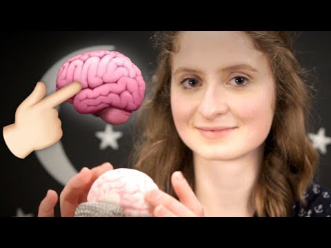 🧠 ASMR 💕 Extremely Relaxing Deep Brain Touching 🧠👈