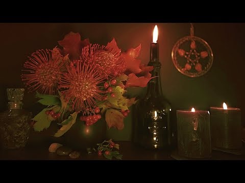 Autumn Stillness // Guided Meditation [ASMR] Soothing Music