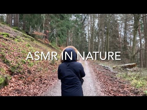 ASMR In Nature 🍃 Wood Sounds