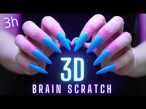 Asmr Scratching Mic - Brain Scratching with Long Nails | No Talking for Sleep ( 3 Hours Asmr )