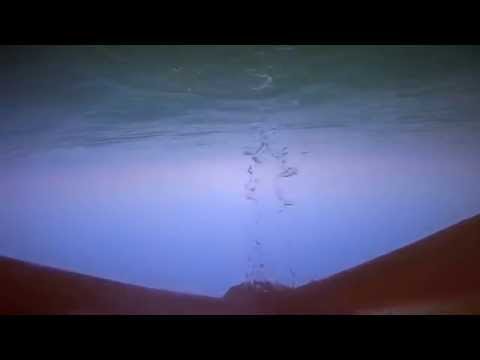 ASMR sea nymph♡~*(underwater, beach sounds)
