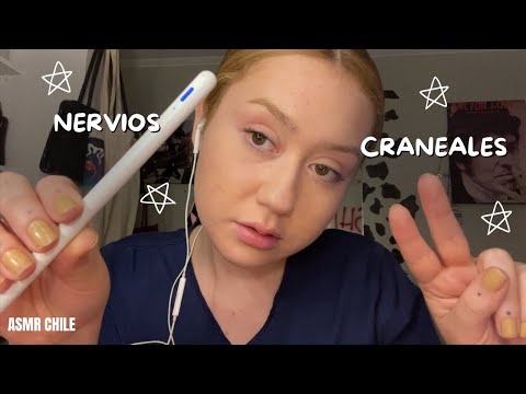 cranial nerves exam asmr lo-fi 🤍 asmr en español