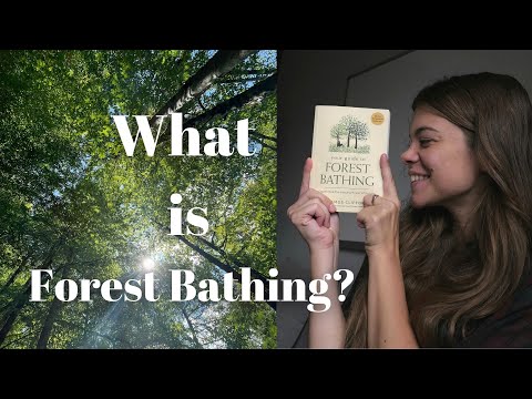 What are the Spiritual Benefits of Forest Bathing 🌿 Shinrin-yoku
