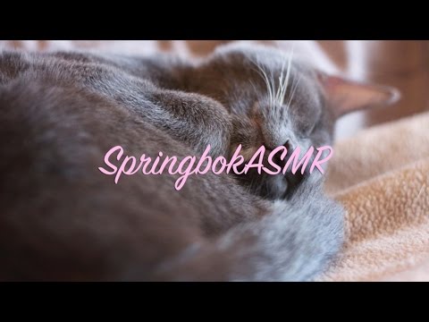 Binaural ASMR Krinkle Kitty: Cat Wearing a Paper Bag Shirt with Crinkles and Purring