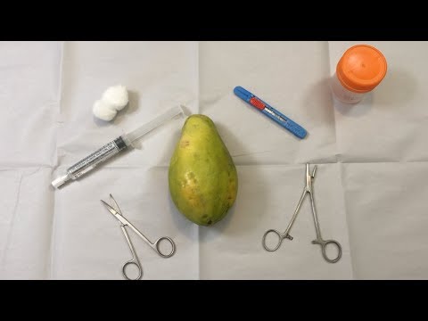 [ASMR] Surgery On Papaya
