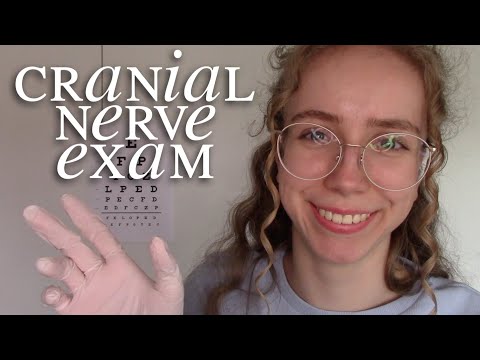 [ASMR] Cranial Nerve Exam & Wound Treatment in the ER 🩺👩‍⚕️ (Soft-Spoken Role-Play)