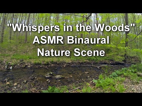 "Whispers in the Woods" - ASMR Binaural Nature Scene for Relaxation and Sleep