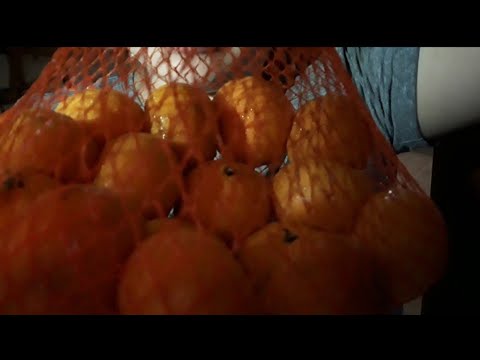 ASMR EATING JUICY SMALL ORANGES