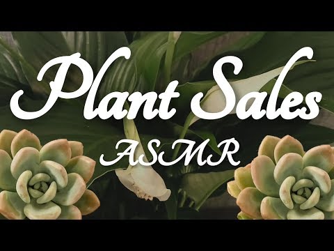 ASMR Plant Sales Role Play