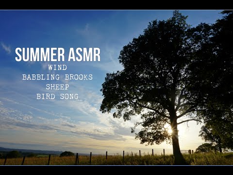 ☼ Summer ASMR ☼ - The Ambience of a Mountain