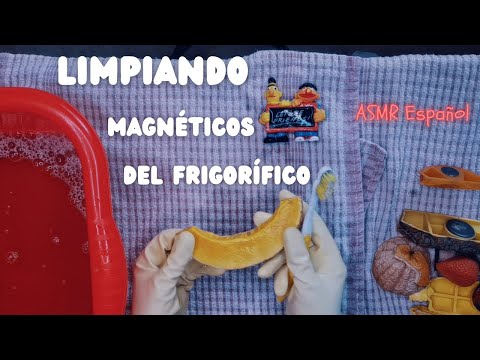 LIMPIANDO los imanes del frigo | ASMR Español