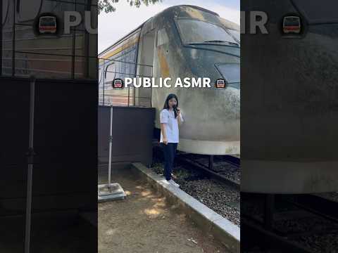 Train ASMR (PUBLIC) 🚅🚅
