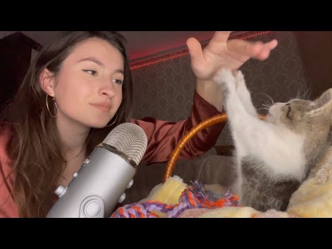 Asmr with cat in one minute | Special for 150K 😍🥺❤️