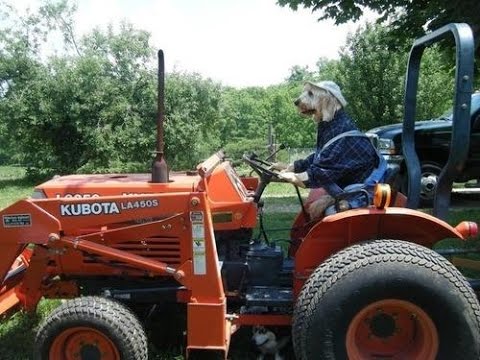 [ASMR] relaxing tedium - Tractor & Farming Heritage magazine