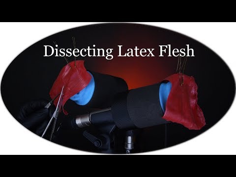 ASMR Dissecting Latex Flesh