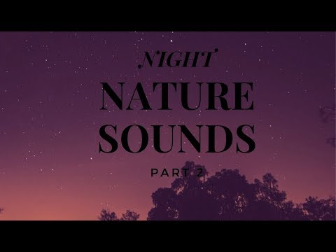 ASMR Night Nature Sounds Part 2 (Use headphones)