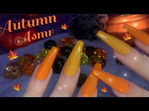 Autumn Asmr | Mini Pumpkin Rummaging, Sorting, Counting for Sleep 😴🎃🍁🍂