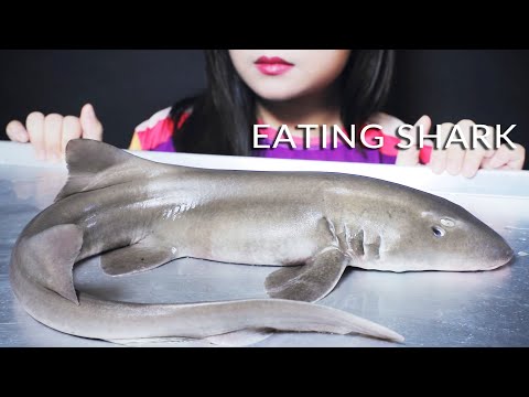 ASMR STEAMED SHARK WITH VEGETABLE, RICE PAPER, FISH CAKE AND VIETNAMESE WET VERMICELLI | LINH-ASMR