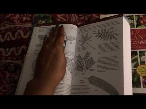 ASMR inaudible reading, page flipping, book tapping, for sleep