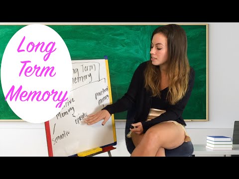[ASMR] Miss Bell Teaches A Lesson On Memory
