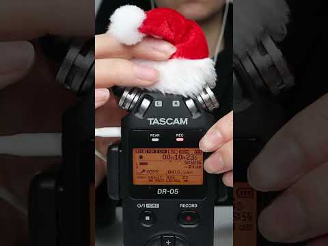 Christmas hat on tascam mic!