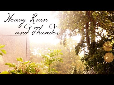 Heavy Rain And Distant Thunder - ASMR