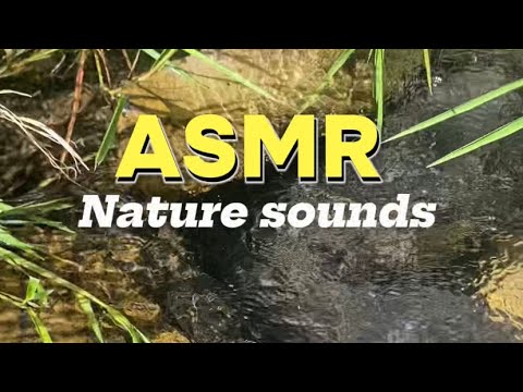 ASMR NATURE SOUNDS 🍃