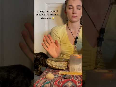 channeling reiki with a kitten who wants to play with everything! #reiki #kitten #cat #relaxing