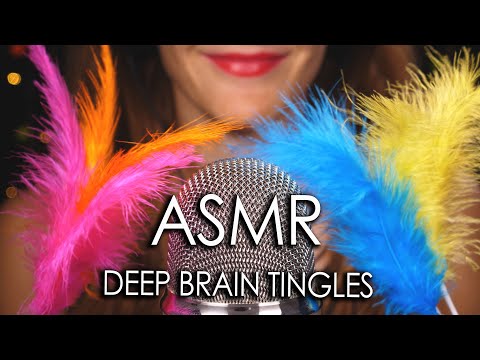 ASMR DEEP BRAIN TINGLES 😍 4k (No Talking) FEATHER BRUSHING - Blue Yeti