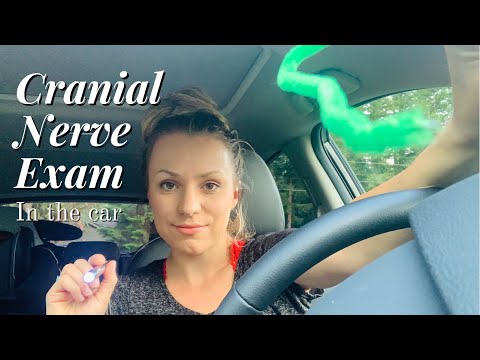 CRANIAL NERVE EXAM IN THE CAR ASMR | Lofi Cranial Nerve Exam Roleplay ASMR | ASMR In The Car | Short