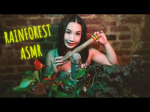 Rainforest ASMR | Rain Stick Relaxation, Egg Shakers, Wooden Frog & Singing Bowl