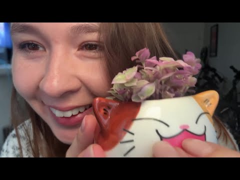 ASMR Chaos! camera tapping, random triggers, fast and aggressive, cats and other things, enjoy!