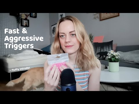 ASMR | Fast & Aggressive Triggers For 100% Tingles, Tapping, Fabric Sounds, Face Brushing, Relax +