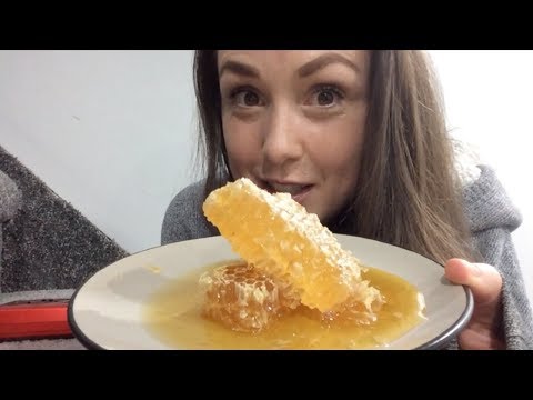 ASMR Raw Honeycomb [Pure satisfaction]