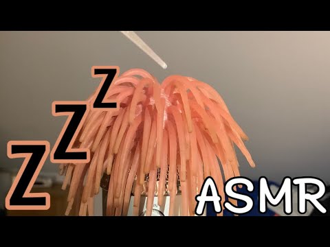 ASMR with my mic as a octopus
