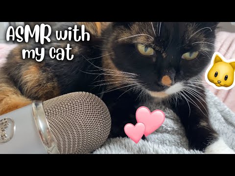 ASMR with my Cat - Purring & Grooming Sounds