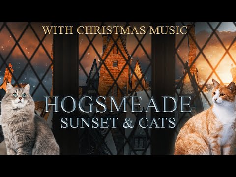 Hogsmeade Window [Sunset] Snowfall 🐈 with Cats - Harry Potter Winter Ambience 🎄 Christmas Music